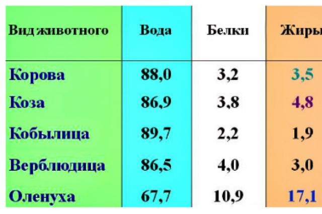 Milk found harmful to the elderly