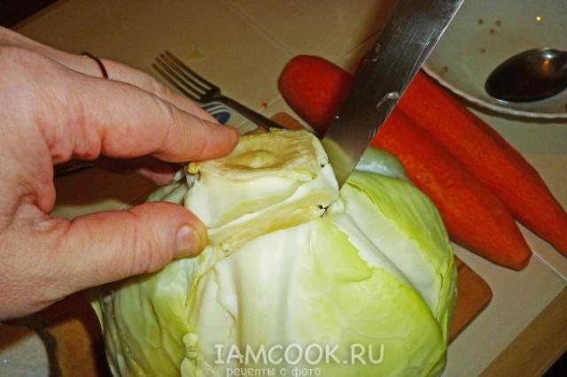 Pickled cabbage rolls with carrots Stuffed cabbage rolls with carrots