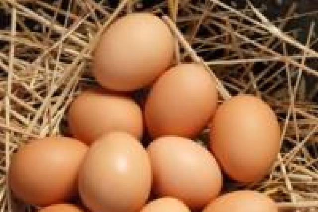 When the eggs hatch.  Lots of chicken eggs.  Egg according to the dream book of the sorceress Medea